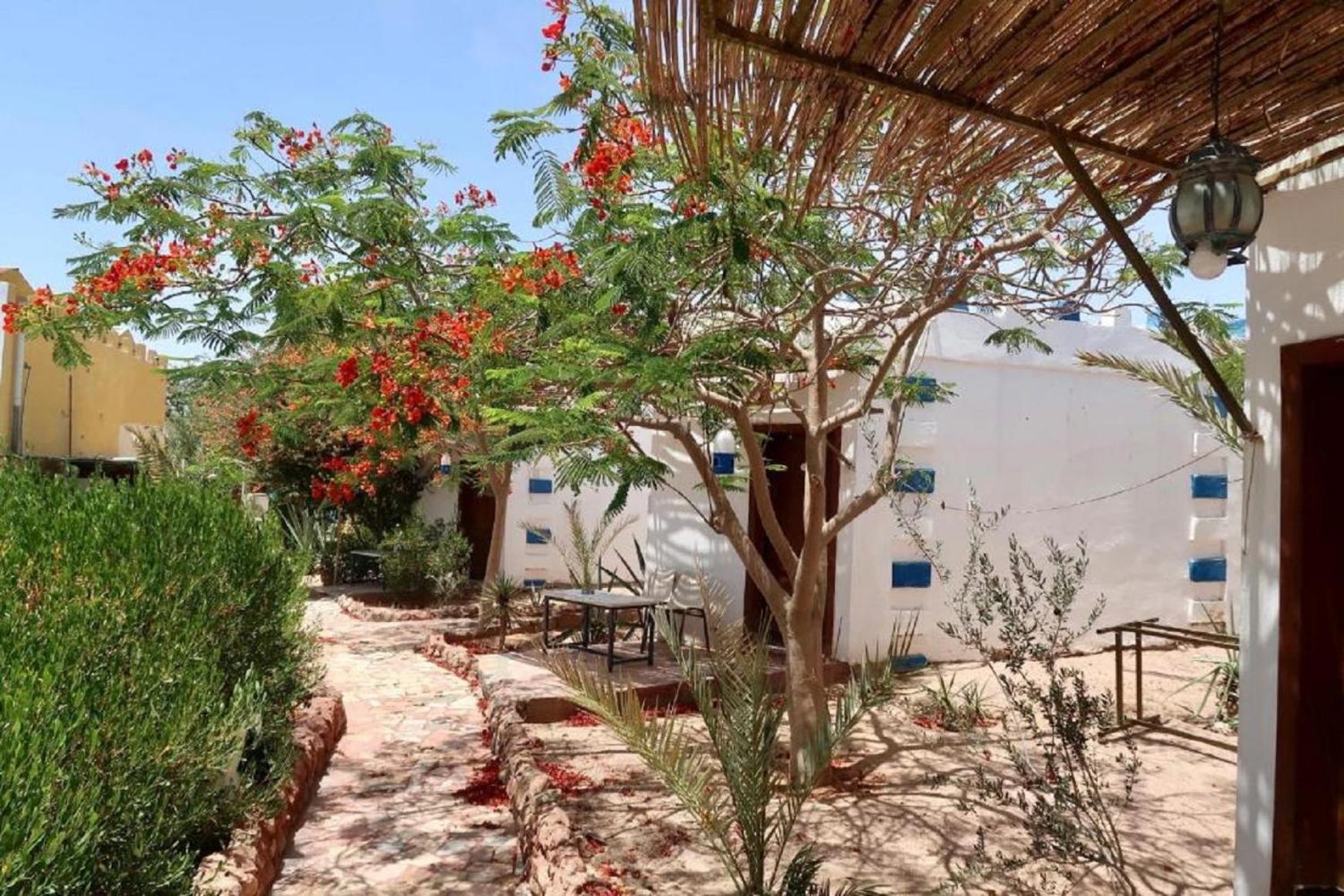 Bedouins Inn Village Aqaba Luaran gambar
